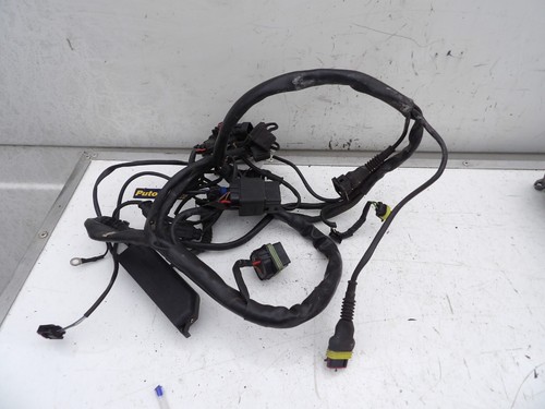 Ducati 748ecu loom - ducati,