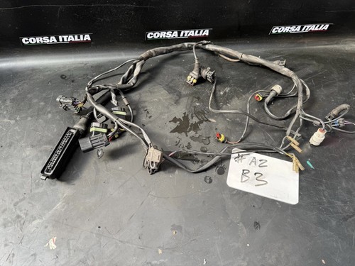 Ducati 748 996 - , harness