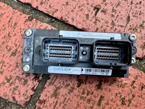 Oem genuine ducati - genuine, engine