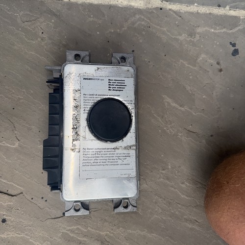 Magneti martelli ducati ecu - magneti, /