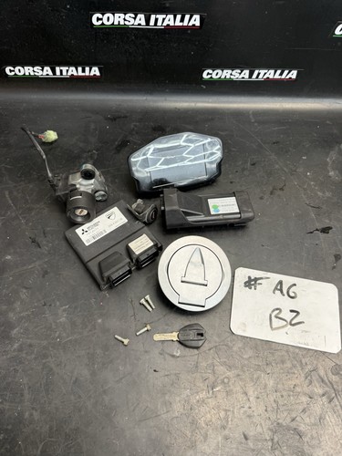 2013 oem ducati panigale 1199 - 2013,